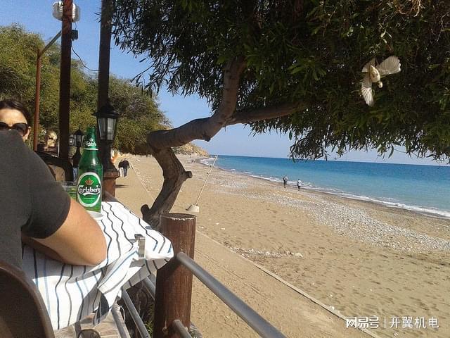 印刷专用设备制造推动文化传播与数字化印刷融合发展的探索