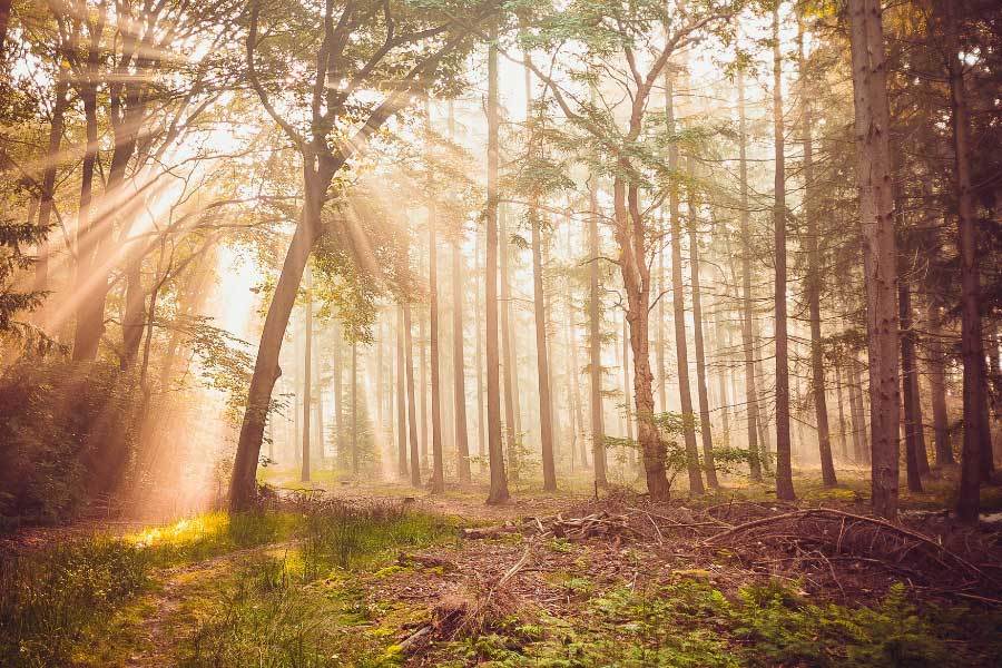 科技公司研发新型打印机打印速度快