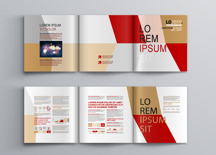 泰康人寿淮北中支积极参与“金融为民办实事”户外集中教育宣传活