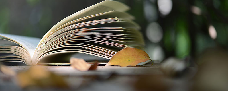 正版书和盗版书的区别 正和盗有什么区别